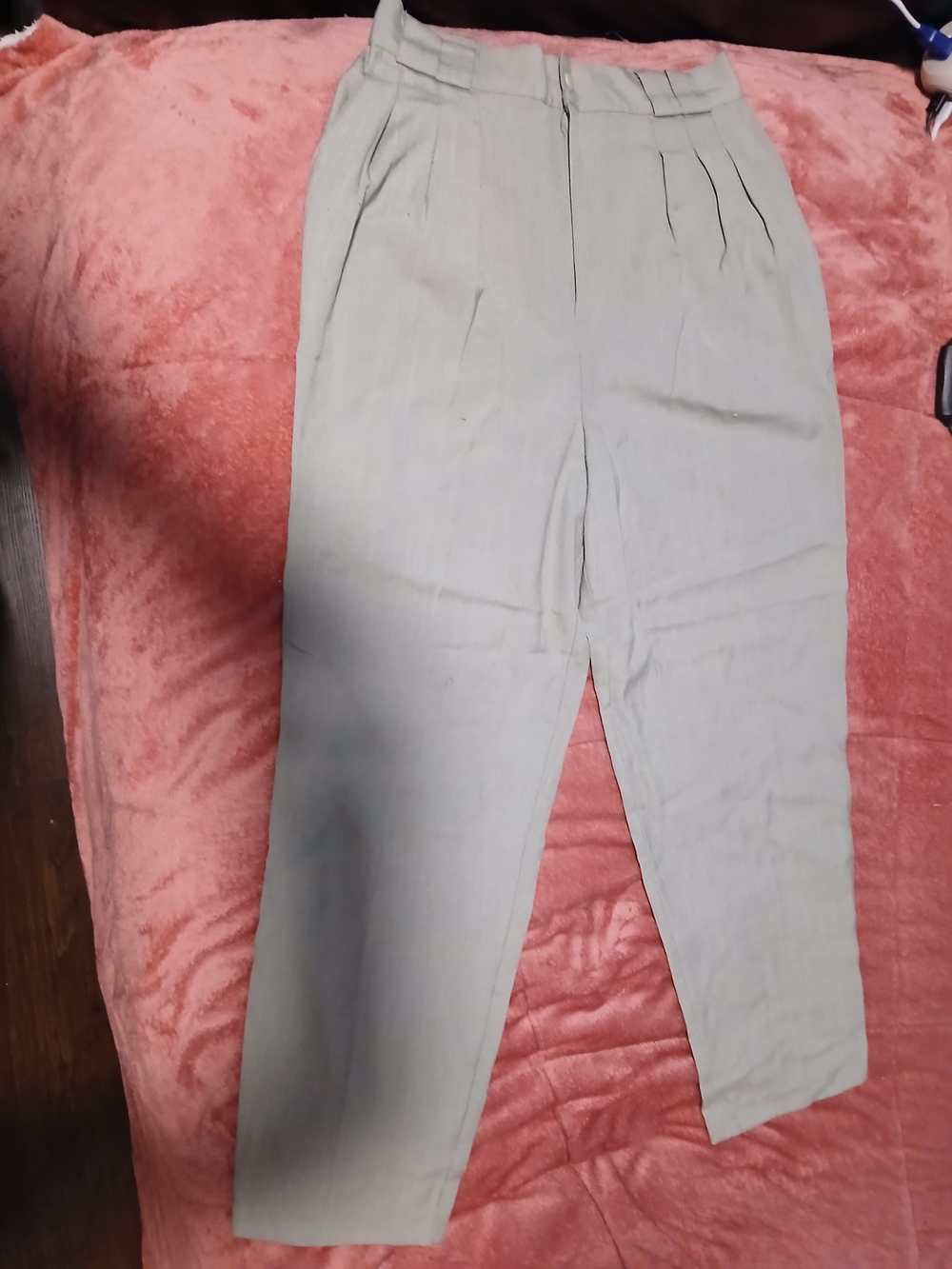 Christy Girl New York High-Waist Pleated Tapered Pants - Light Sage
